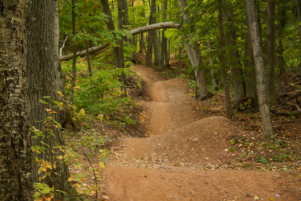Rollers in the new MTB flow trail at the Michigan Tech Trails